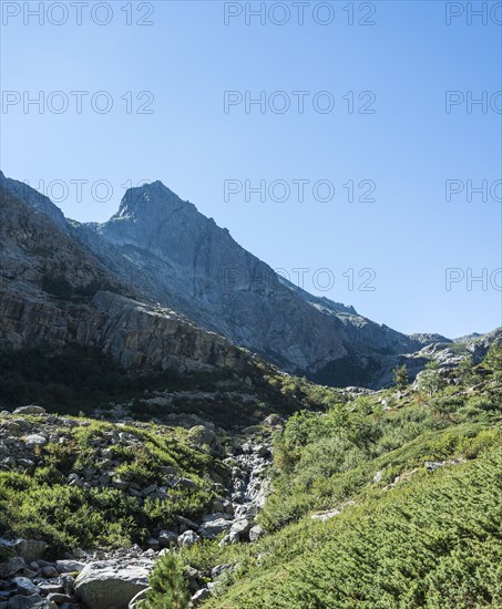 Restonica river flowing at its source through mountain valley