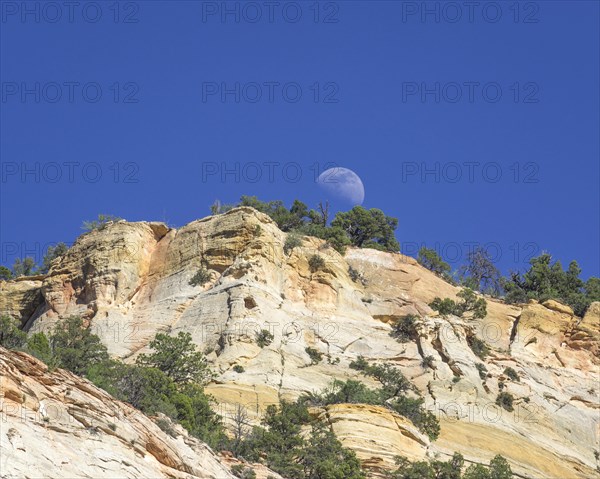 Moon rising at Checkerboard Mesa