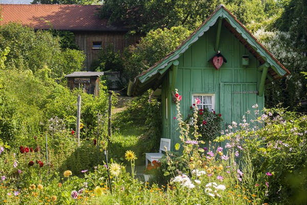 Garden house and summer flower garden
