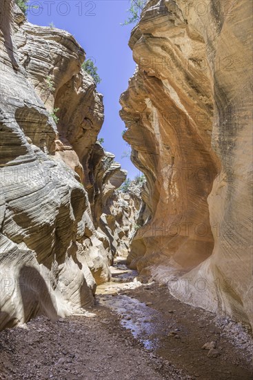 Hiking trail through Willis Creek Canyon