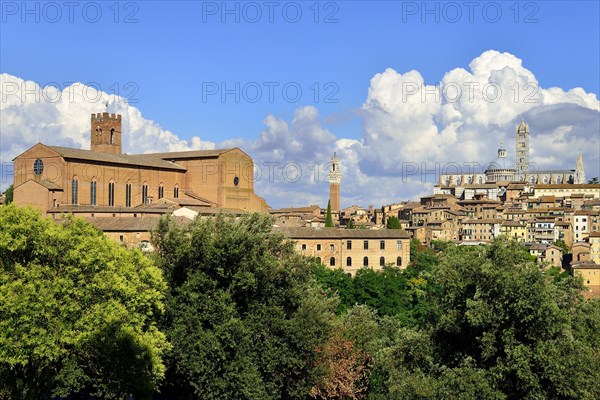 Historic centre with the Basilica of San Domenico and the Duomo of Siena