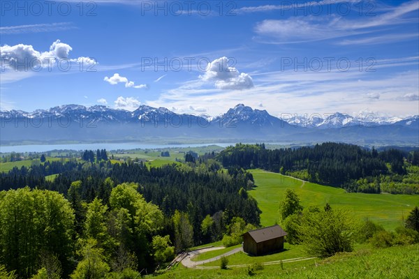 View from the book at Zwieselberg mountain