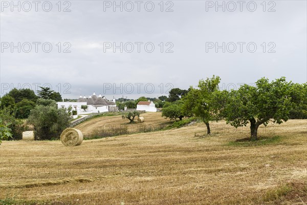 Stubblefield with Trulli buildings at the back