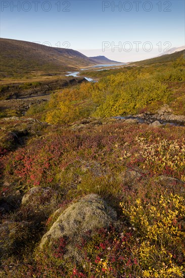 Autumnal foliage