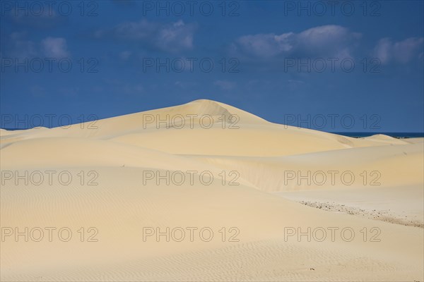 Sand dunes