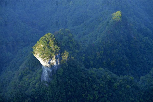 Mushroom-shaped rock surrounded by a forest