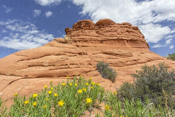 Rock formations of the Teepees