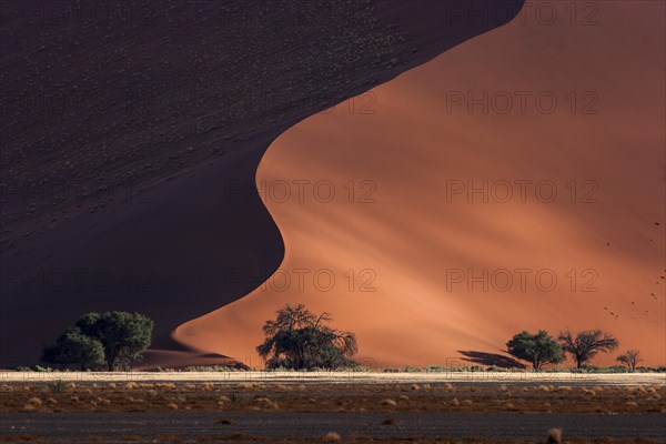 Sand dune