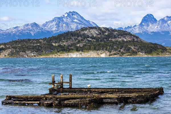 Beagle Channel