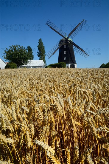 Old windmill in Hagestad