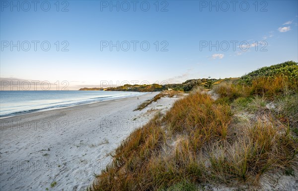 Waipu Beach at sunset