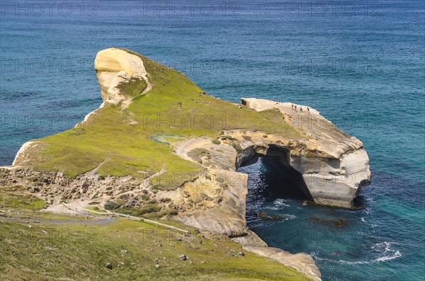 Rocky cliffs on the Pacific coast at Tunnel Beach