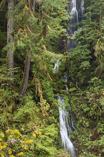 Waterfall at the Eagle Creek Trail