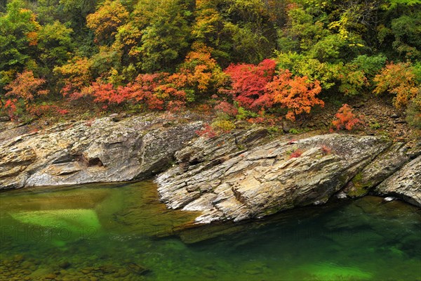 Black River in autumn landscape