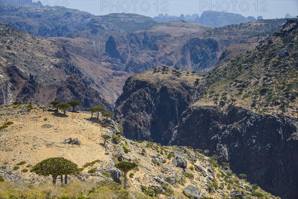 Huge canyon at the Dixsam plateau