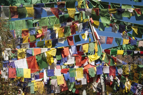 Tibetan prayer flags at the domicile of the Tibetan exile government