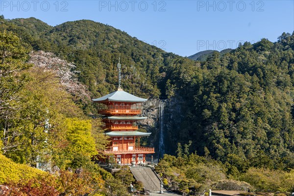 Nachi waterfall behind pagoda of Seigantoji Temple