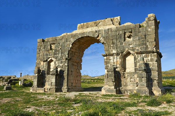 The Arch of Caracalla