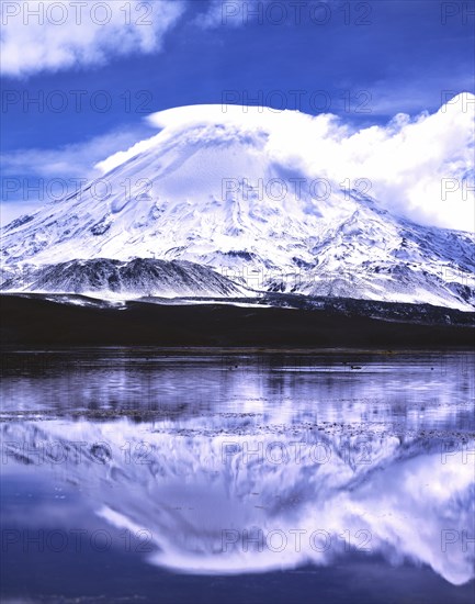 Parinacota volcano with reflections in the lake Lago Chungara