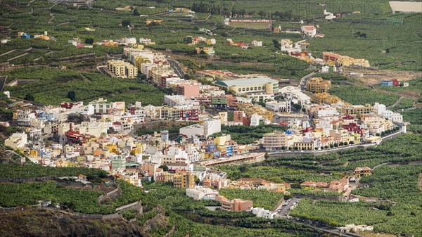 Village surrounded by banana plantations