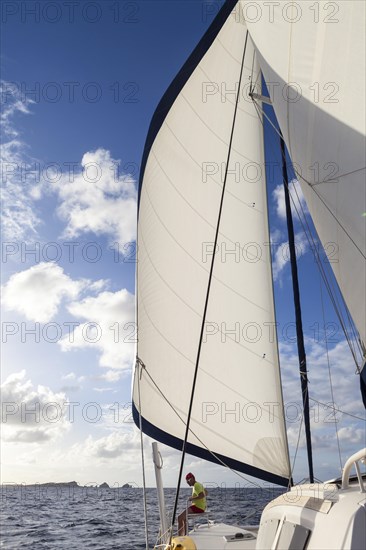 Catamaran sailing