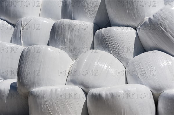 Hay bales in plastic wrap