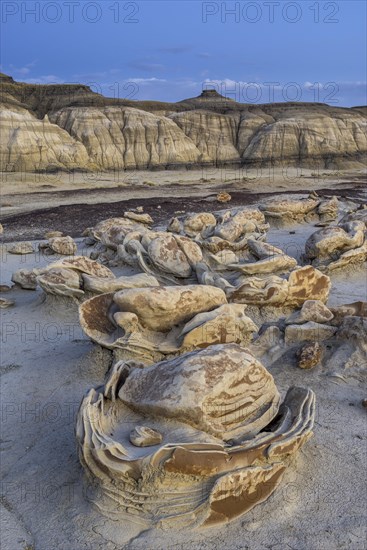 Rock formations in the Bisti Wilderness