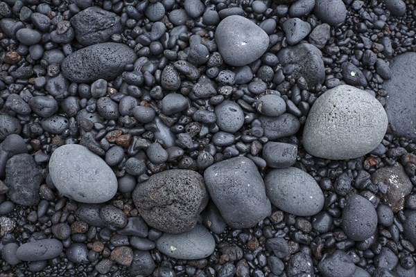 Black lava rocks of the surf on the coast