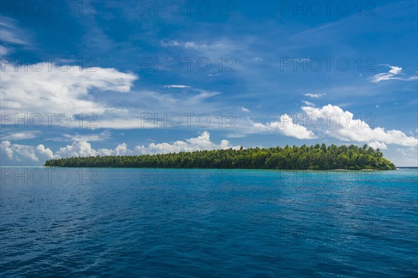 Islet in the Ant Atoll