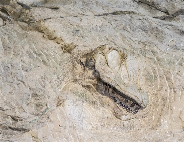 Covered findspot of dinosaur bones