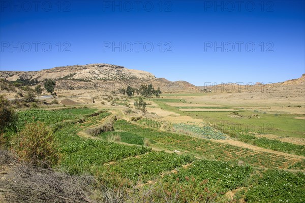 Mountain landscape along the road from Asmarra to Qohaito