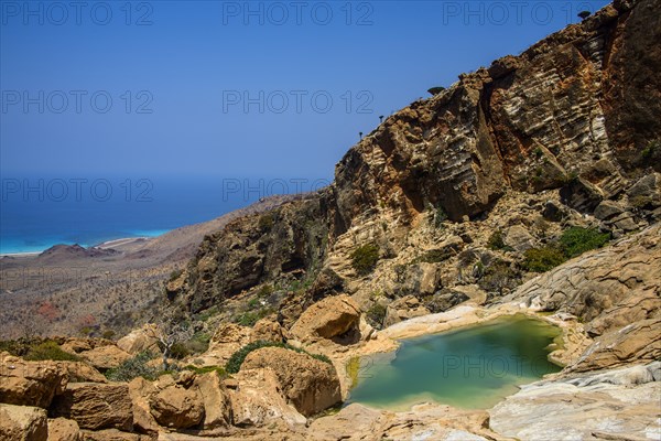 Pond at the coast