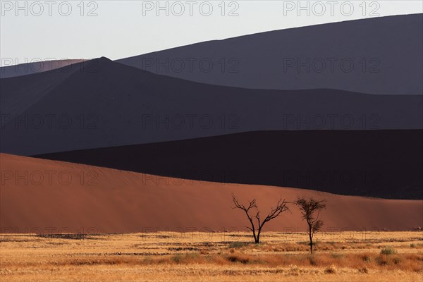 Sand dunes