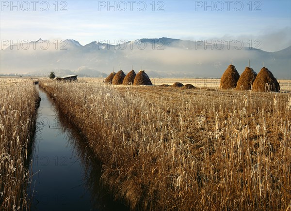 Murnau Moor