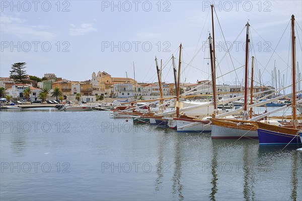 Traditional sailing boats with lateen sail