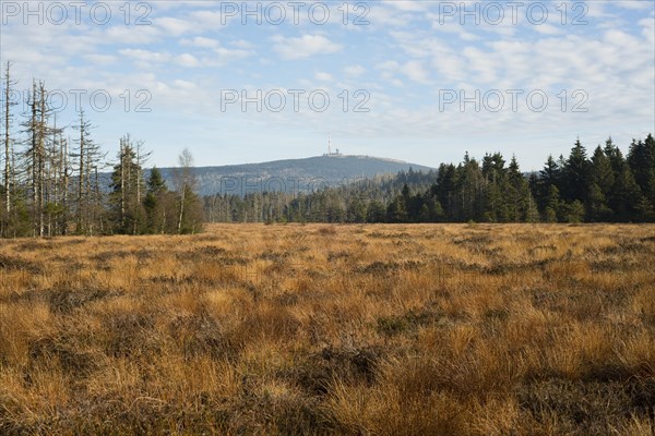 Torfhausmoor in autumn