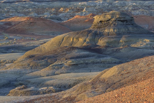 Rock formations in the Bisti Wilderness
