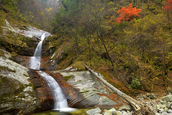 Wild river in autumn landscape