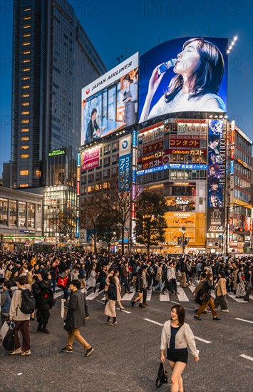 Shibuya Crossing