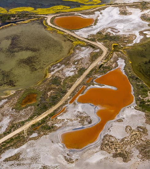 Salt patterns on the surface of salt marshes