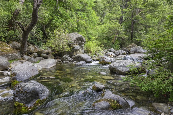 Estero Armenilo brook