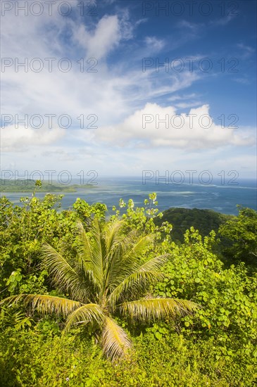 Overlooking the island of Pohnpei