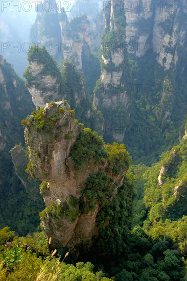 Avatar' mountains with vertical quartz sandstone rocks