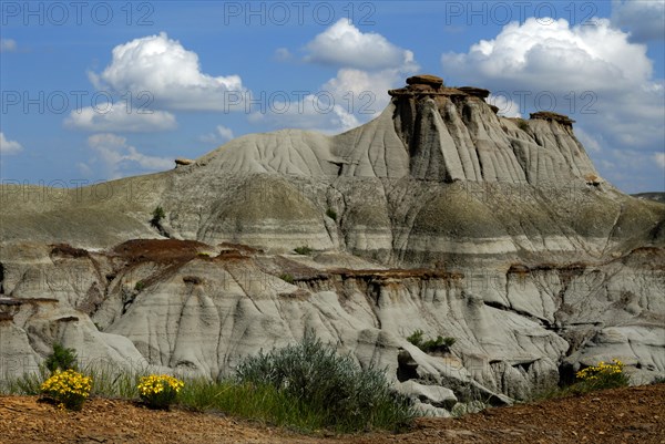 Badlands