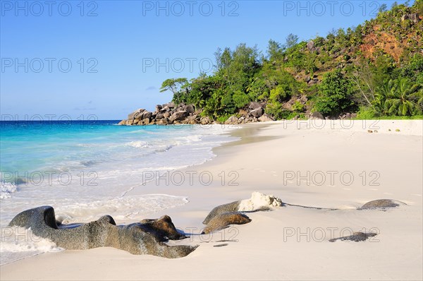 Anse Georgette beach