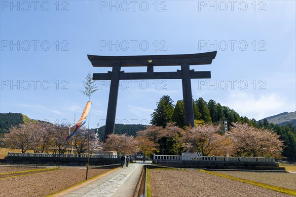 Largest Torii in the world