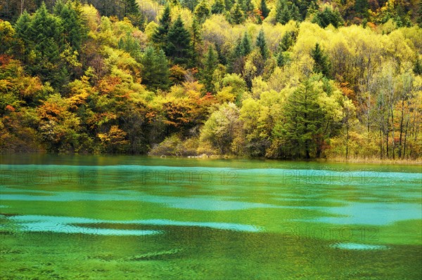 Five Flower Lake in autumnal environment