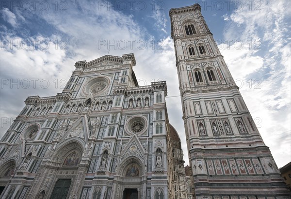 Campanile and cathedral