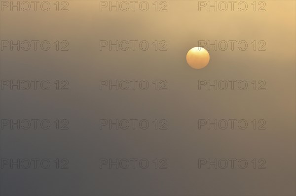 Sun at sunrise with fog