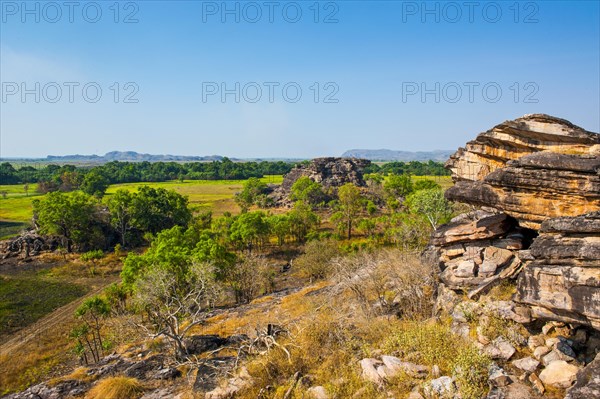 Overlooking the landscape